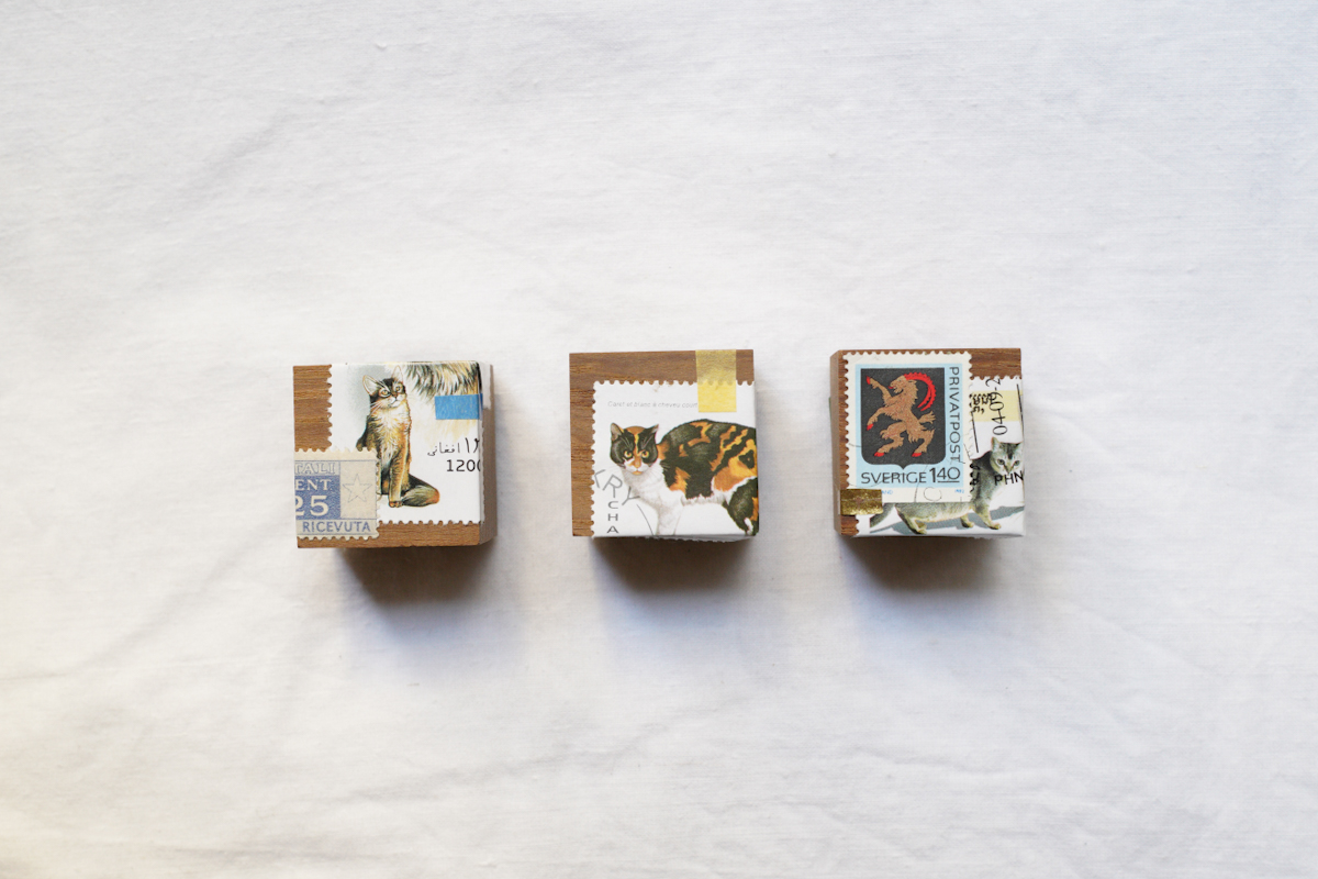 ツメサキの世界