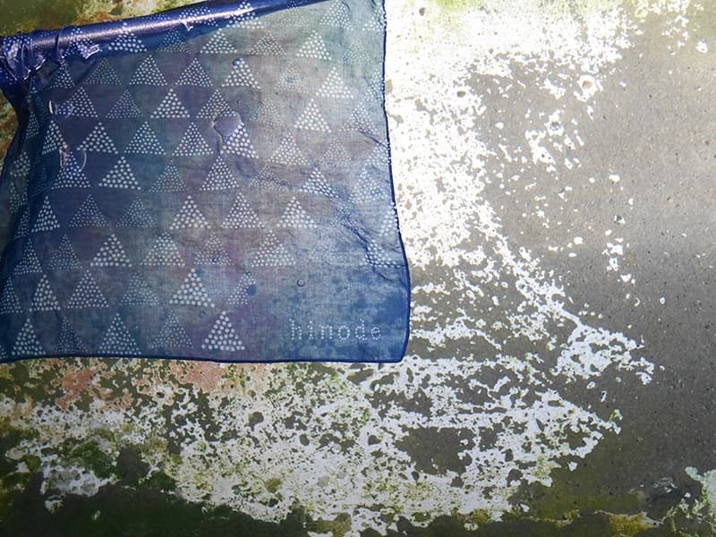 hinodeの文字とウロコ模様