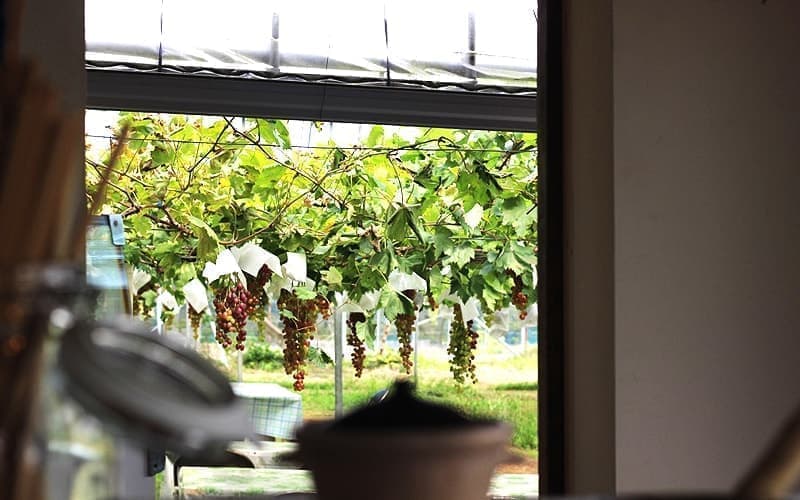 hinode初の展示会