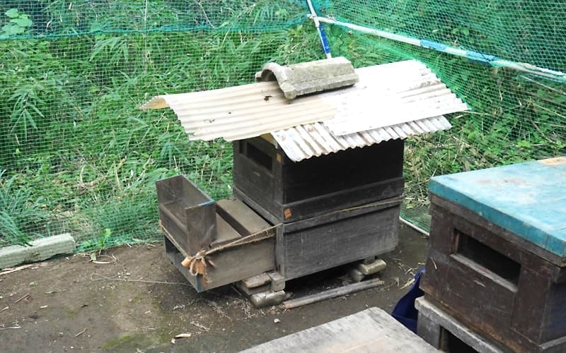 20年以上使っている巣箱