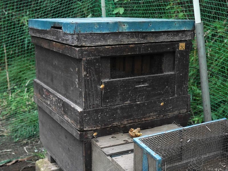 20年以上使っている巣箱