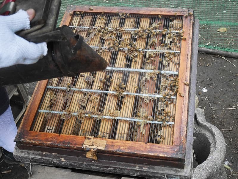 煙をかけると…