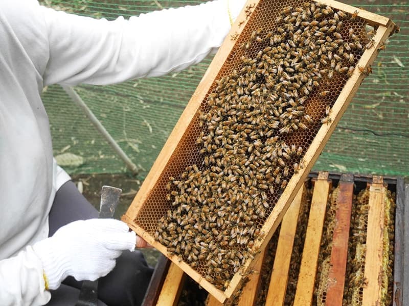 引き抜いてみると…