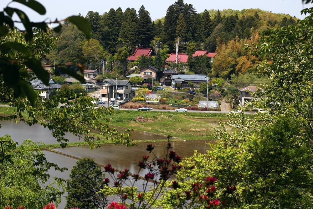 益子陶器市 会場からの眺め