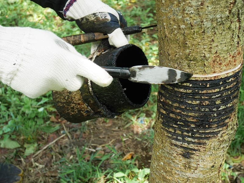 掻きベラを使って