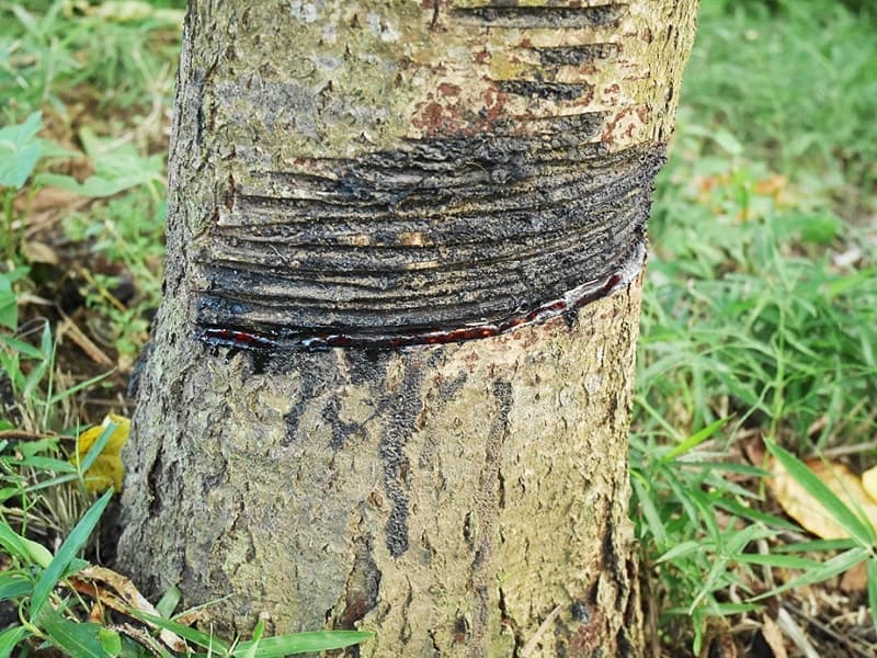 お話を聞いている間に…