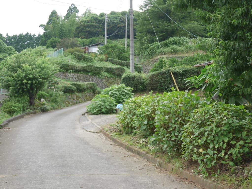 細い道を登って