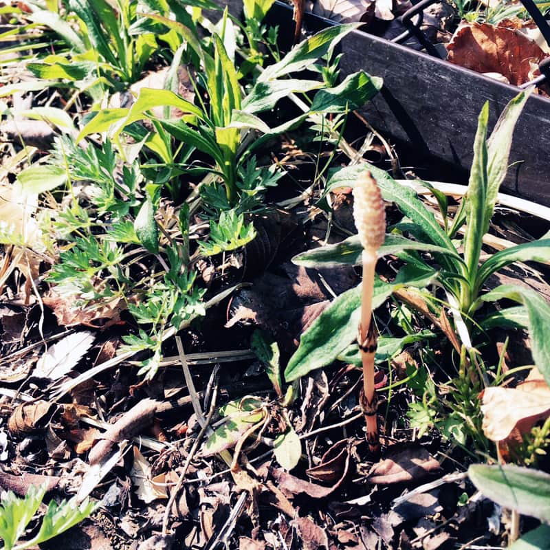 1周年を迎えることができました