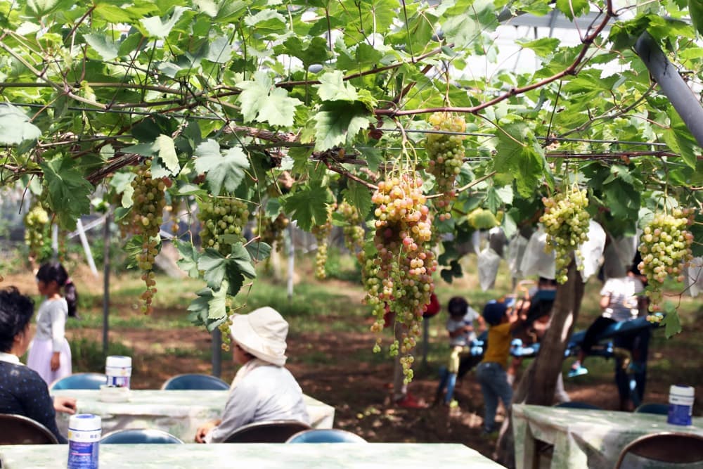 hinode出張展示会、終了致しました