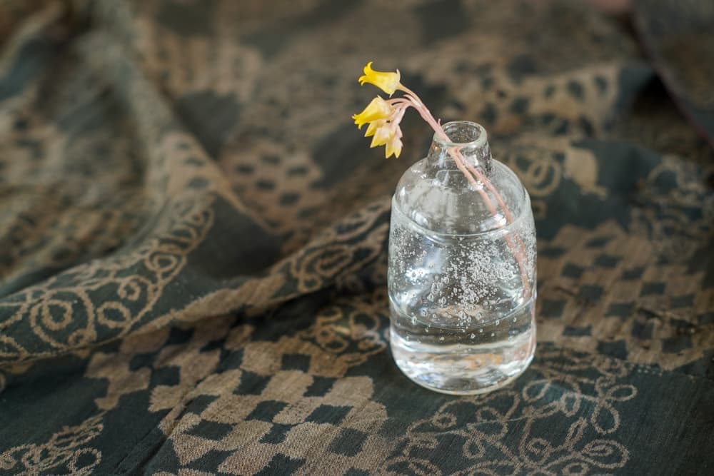 伊藤亜木さんの小瓶 - クリア