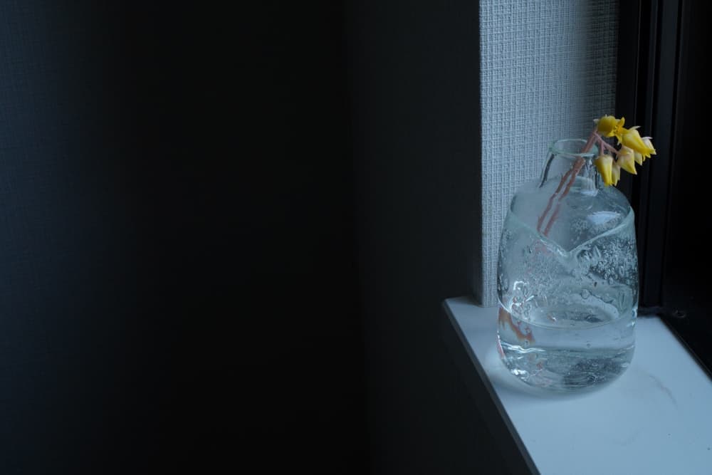 簡単に生けるだけでも