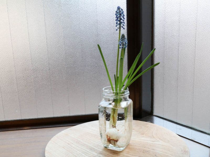 新しいことは、始めてみると結局すごく楽しい