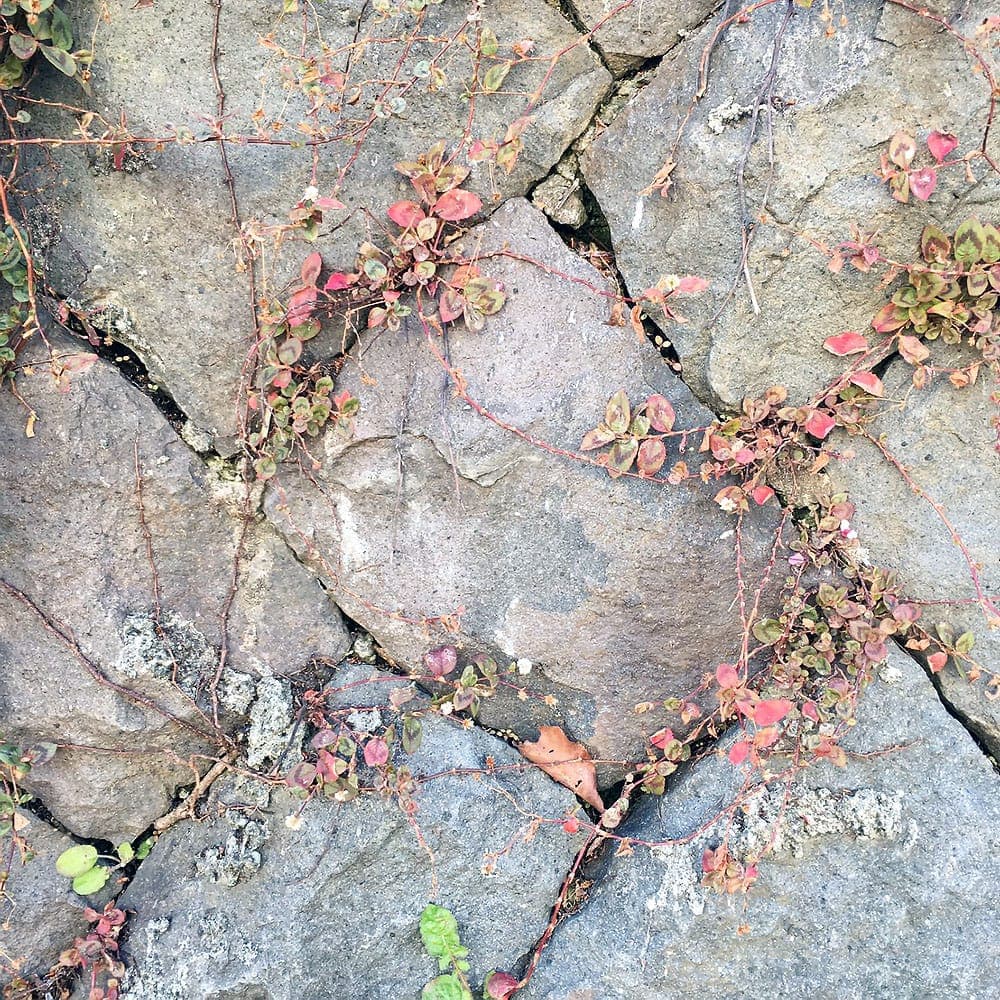 2周年を迎える事ができました