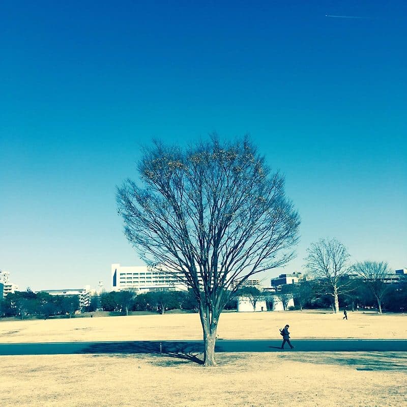 選択の積み重ねがお店をつくる