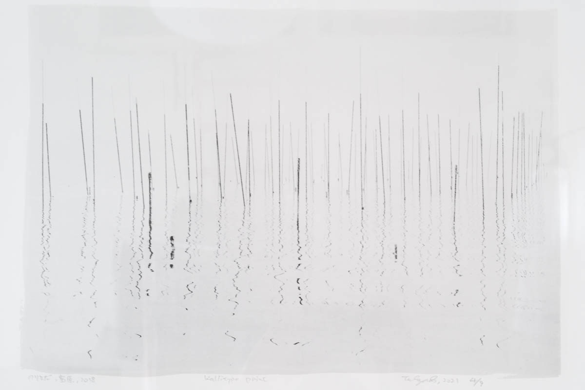 竹谷出さんの写真作品 - 影泥棒より